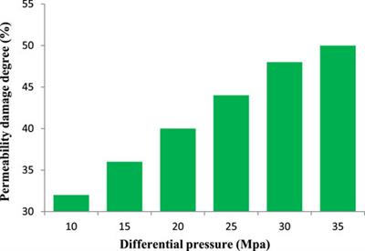 Evaluation method for reservoir damage of cementing slurry